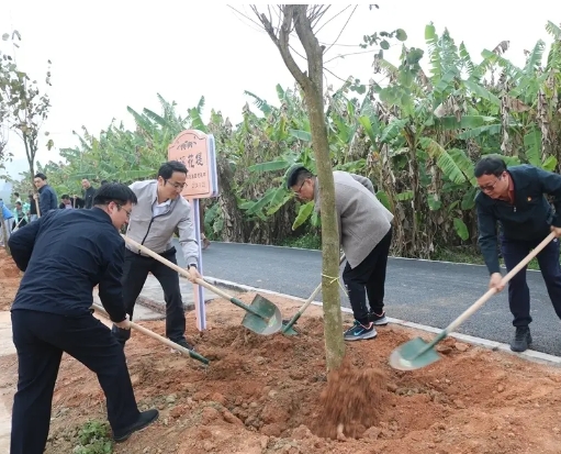 3月26日省交易控股集团开展乡村绿化义务植树主题党日活动