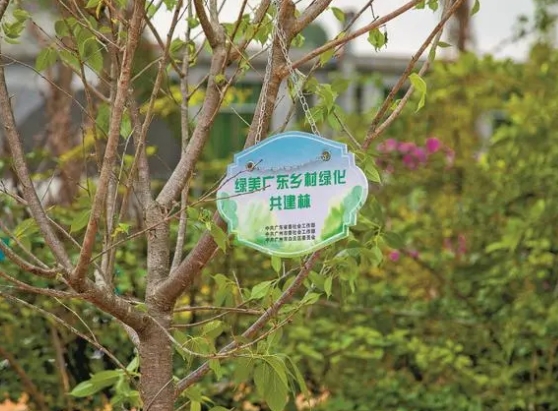3月27日“绿美广东乡村绿化共建基地”在广州启动